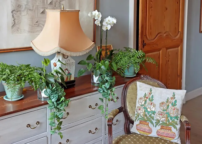 Affittacamere D'hôtes La Tour Sainte-cécile Albi